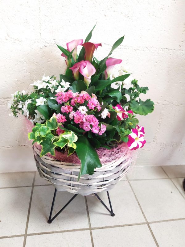 Panier de plante Rose