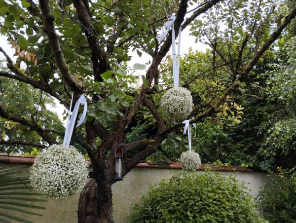Bohème dans un jardin – Image 5