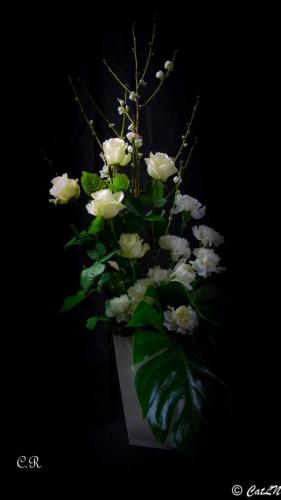 FB IMG 1568142471131