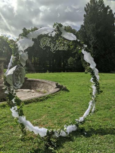 119229926_321645812273619_7555010048292733710_n