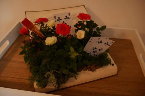 23519158 922415147925533 6372066646123362996 n